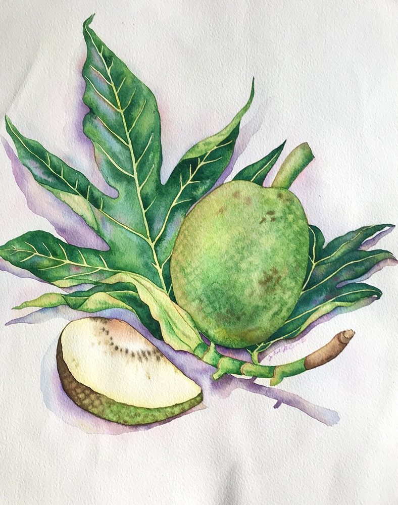 Breadfruit & Leaves: Watercolor on paper