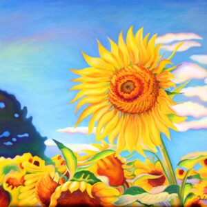 Longwood Sunflowers: Oil on canvas