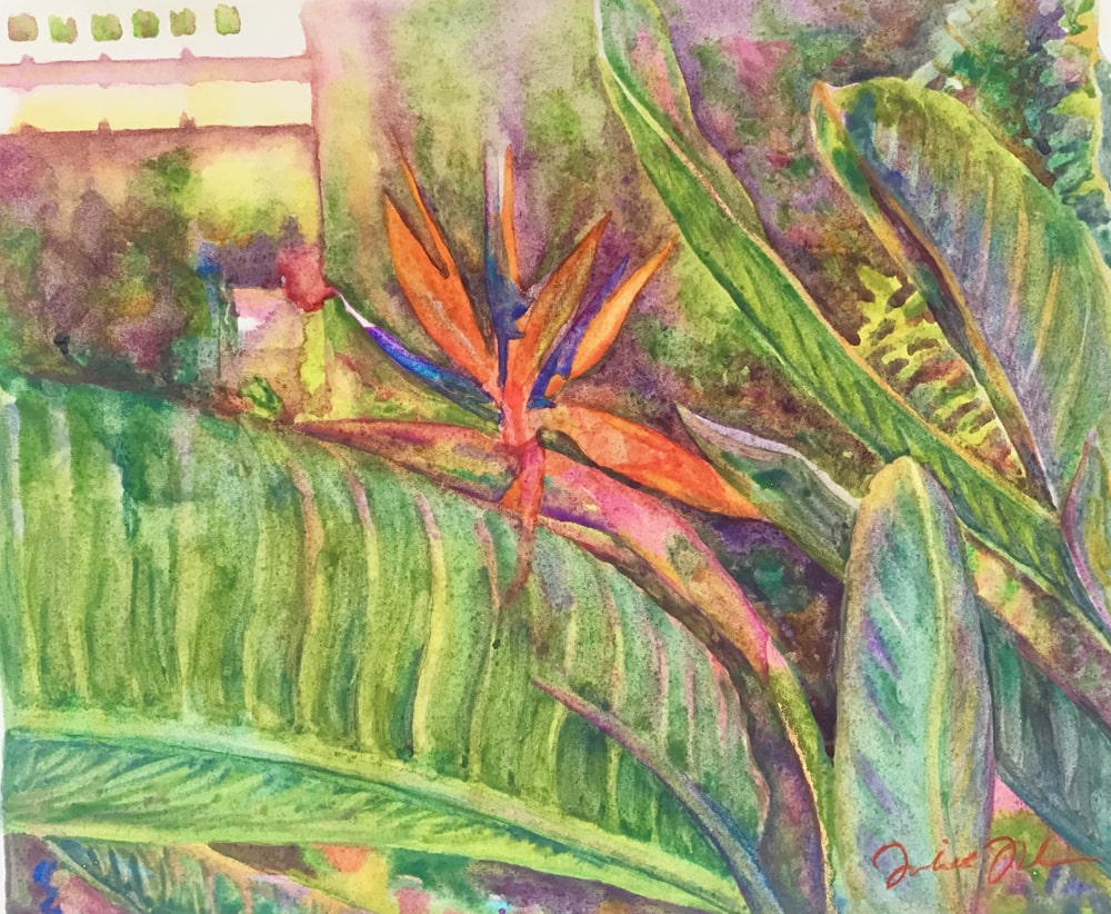 Paradise Bird: Watercolor on paper