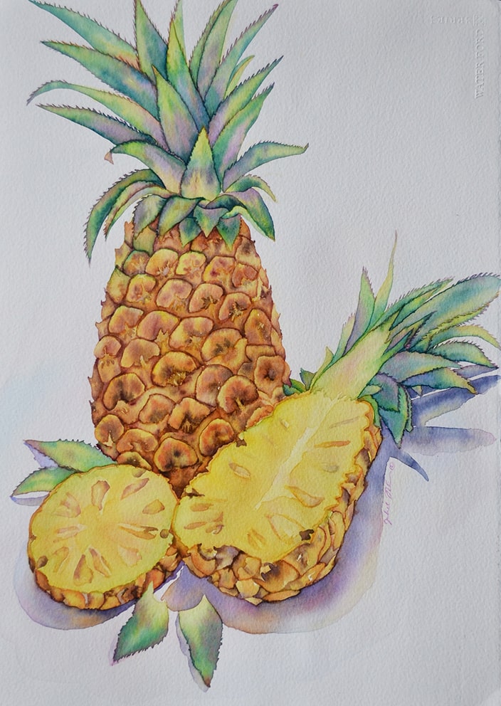 Pineapple & Leaves: Watercolor on paper