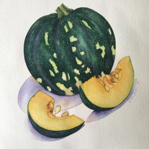 Pumpkin: Watercolor on pape